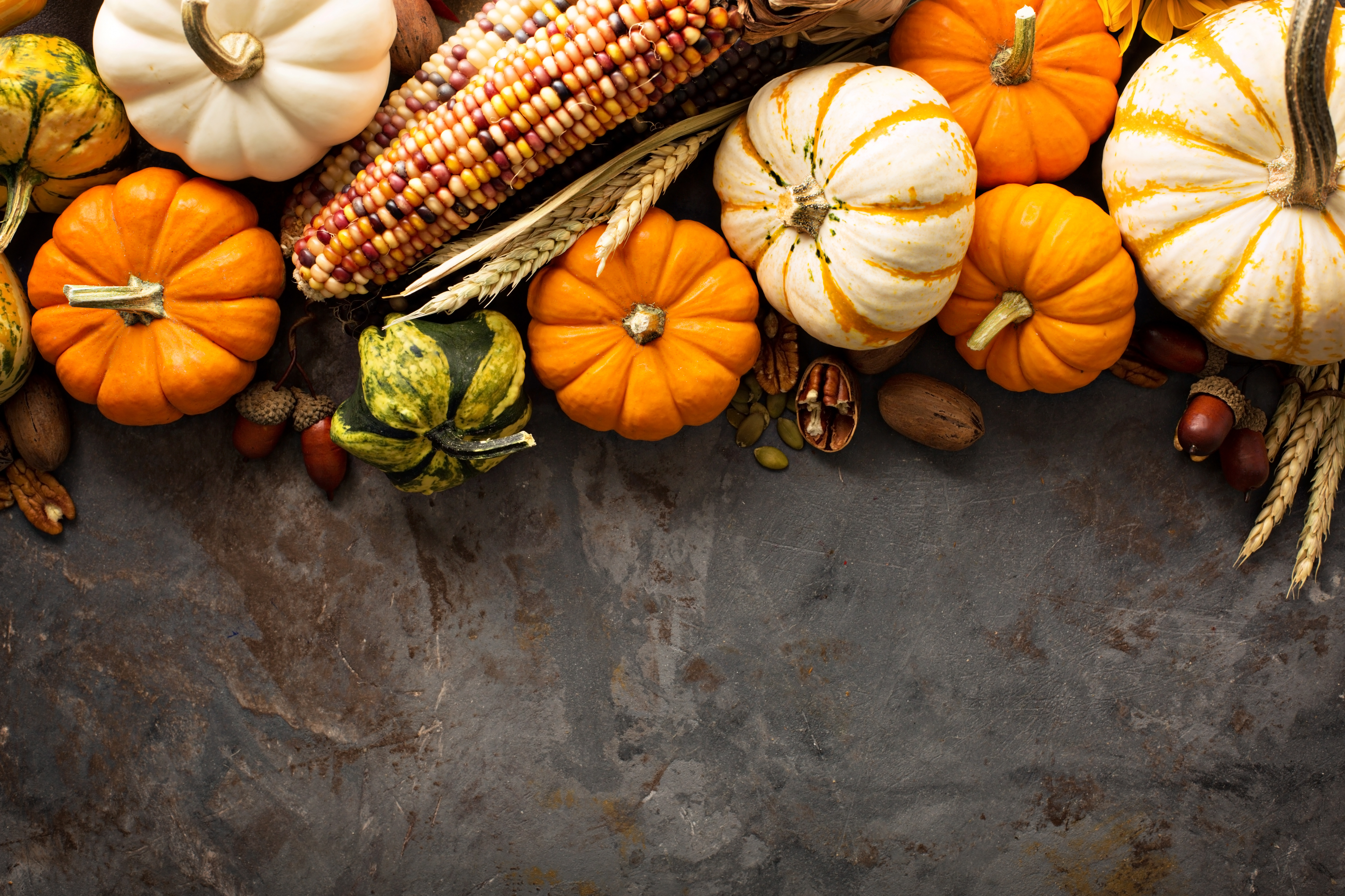 Harvest Image
